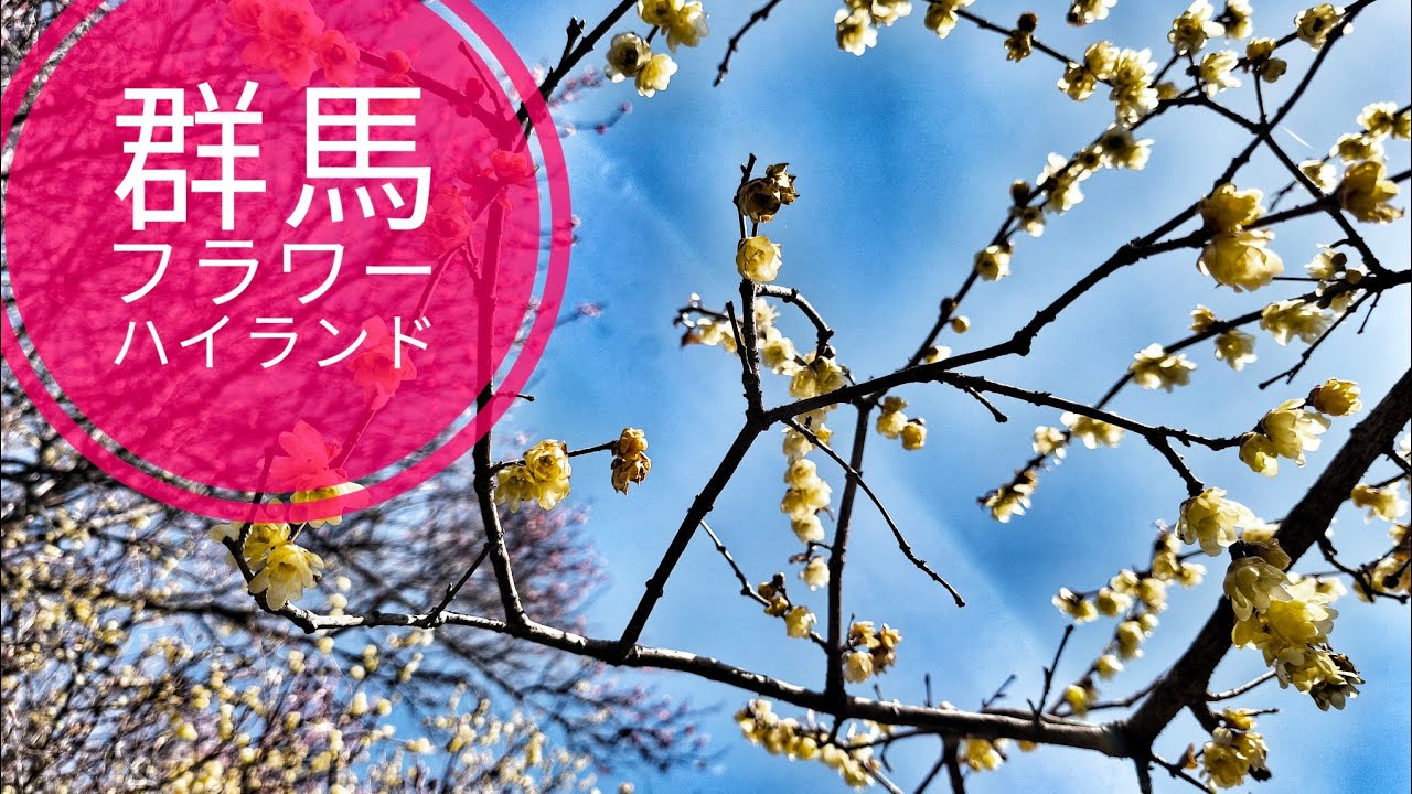 【外出】群馬県 安中市「群馬フラワーハイランド」