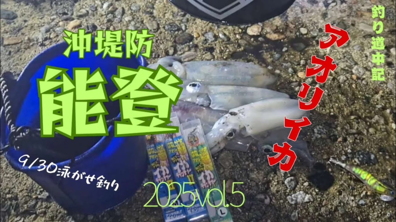 【アオリイカ】泳がせ釣り能登9/30釣行記録