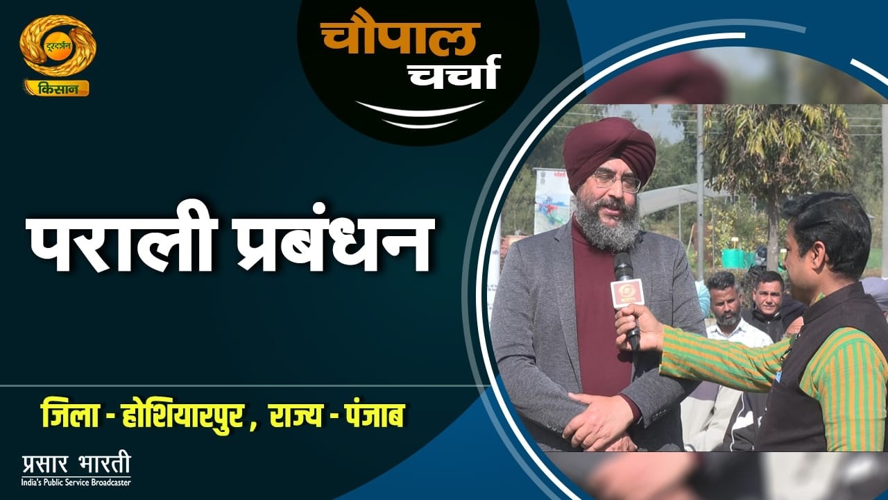 चौपाल चर्चा : पराली प्रबंधन | Chaupal Charcha | Feb. 16, 2026