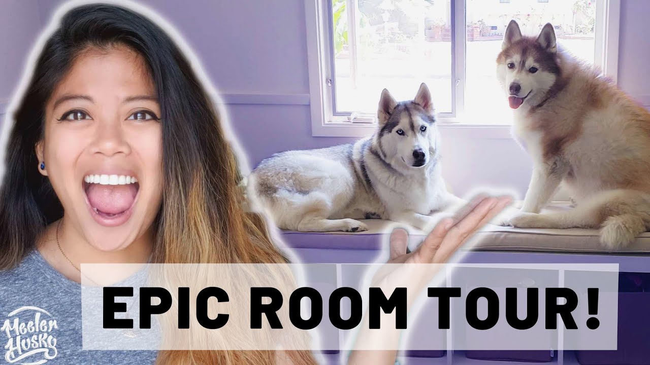 SIBERIAN HUSKIES Get Their Own DOG ROOM!