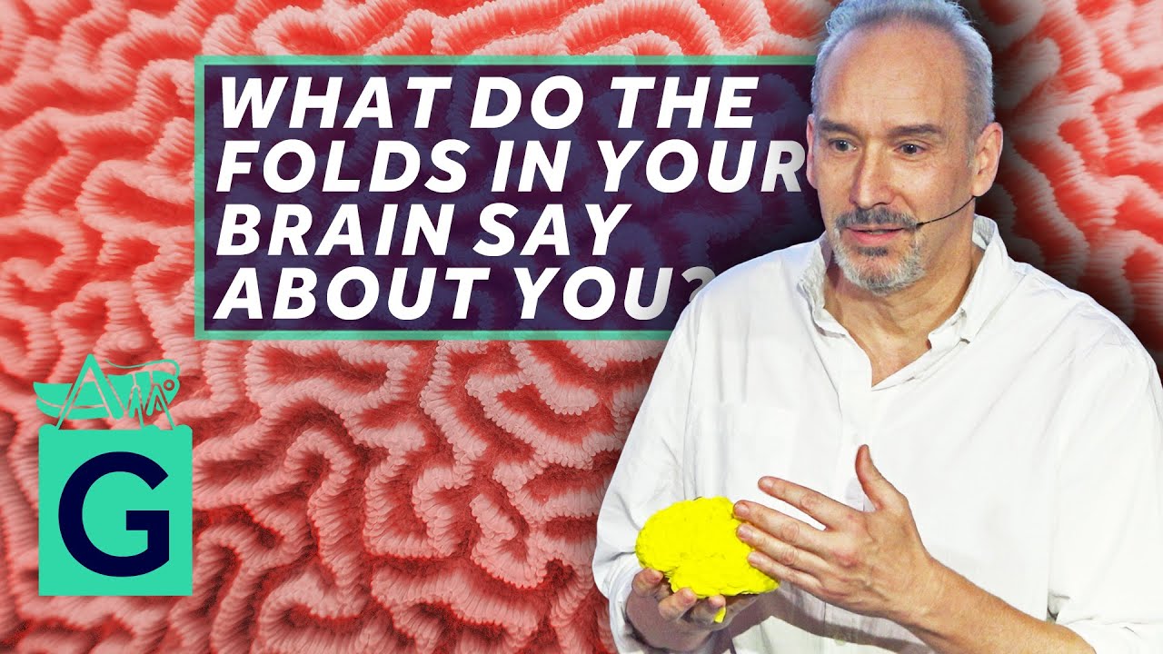 What do the folds in your Brain say about you? - Alain Goriely