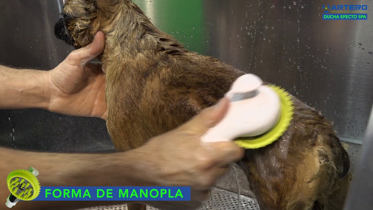 Artero ducha efecto SPA para perros y gatos
