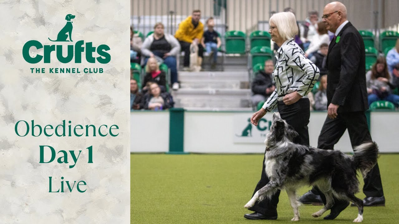 Obedience Day 1 LIVE | Inter-Regional Rally Competition | Crufts 2024