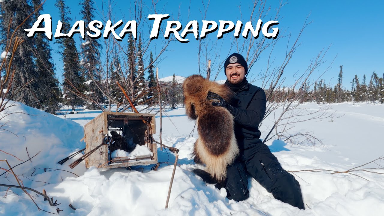 Trapping During a HISTORIC Fur Market BOOM!