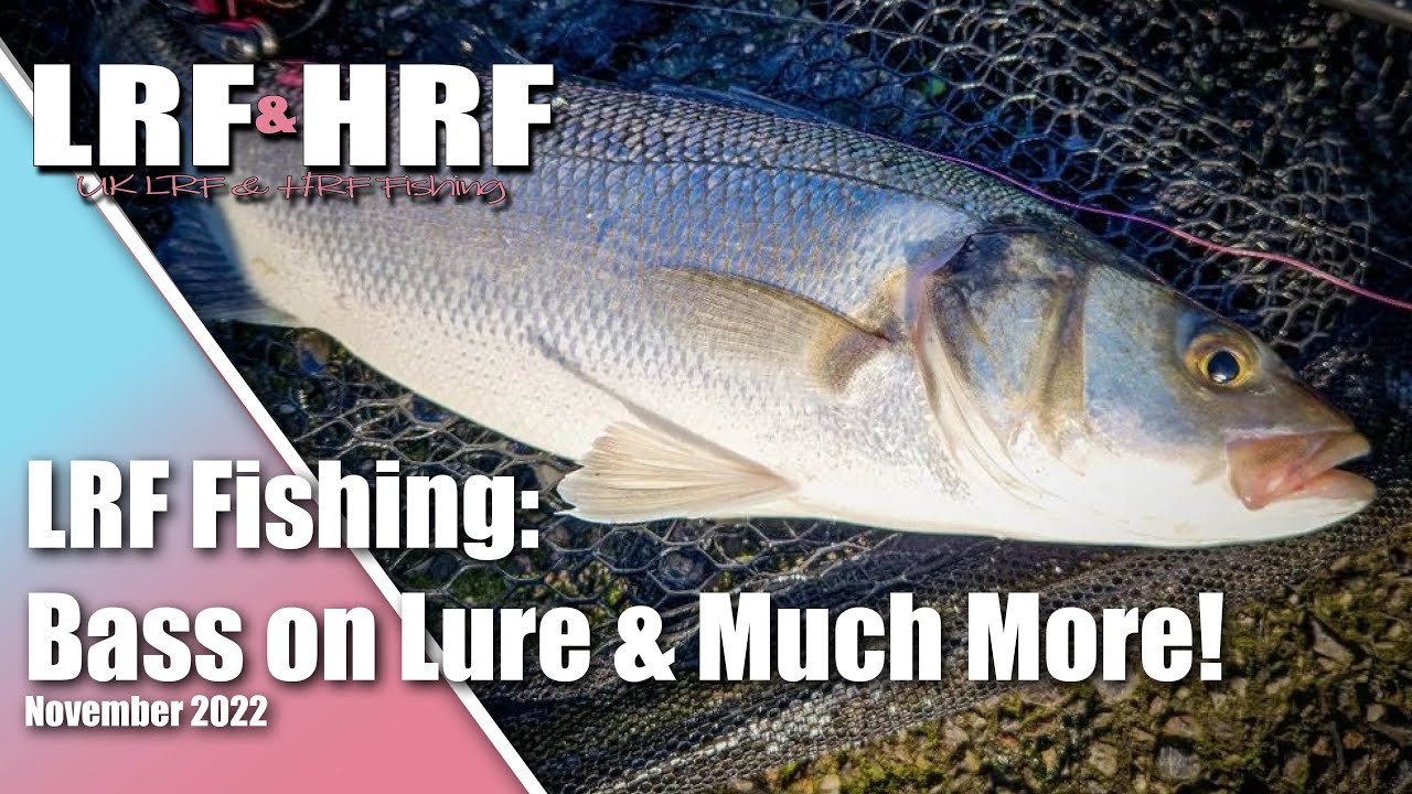 LRF Fishing: Bass on Lures & More at Plymouth