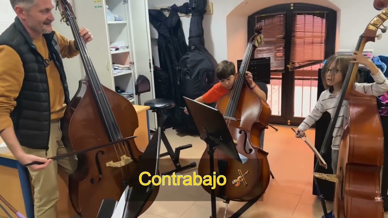 El Contrabajo! Los instrumentos en el Conservatorio “Joaquín Villatoro” de Jerez de la Frontera.