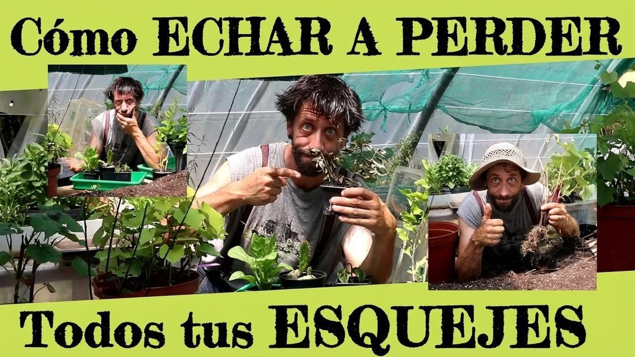 Cómo asegurarte de que tus esquejes no prendan