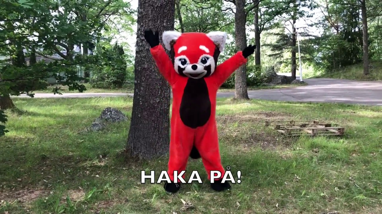 L&auml;r dig Wilma & Morris dansen