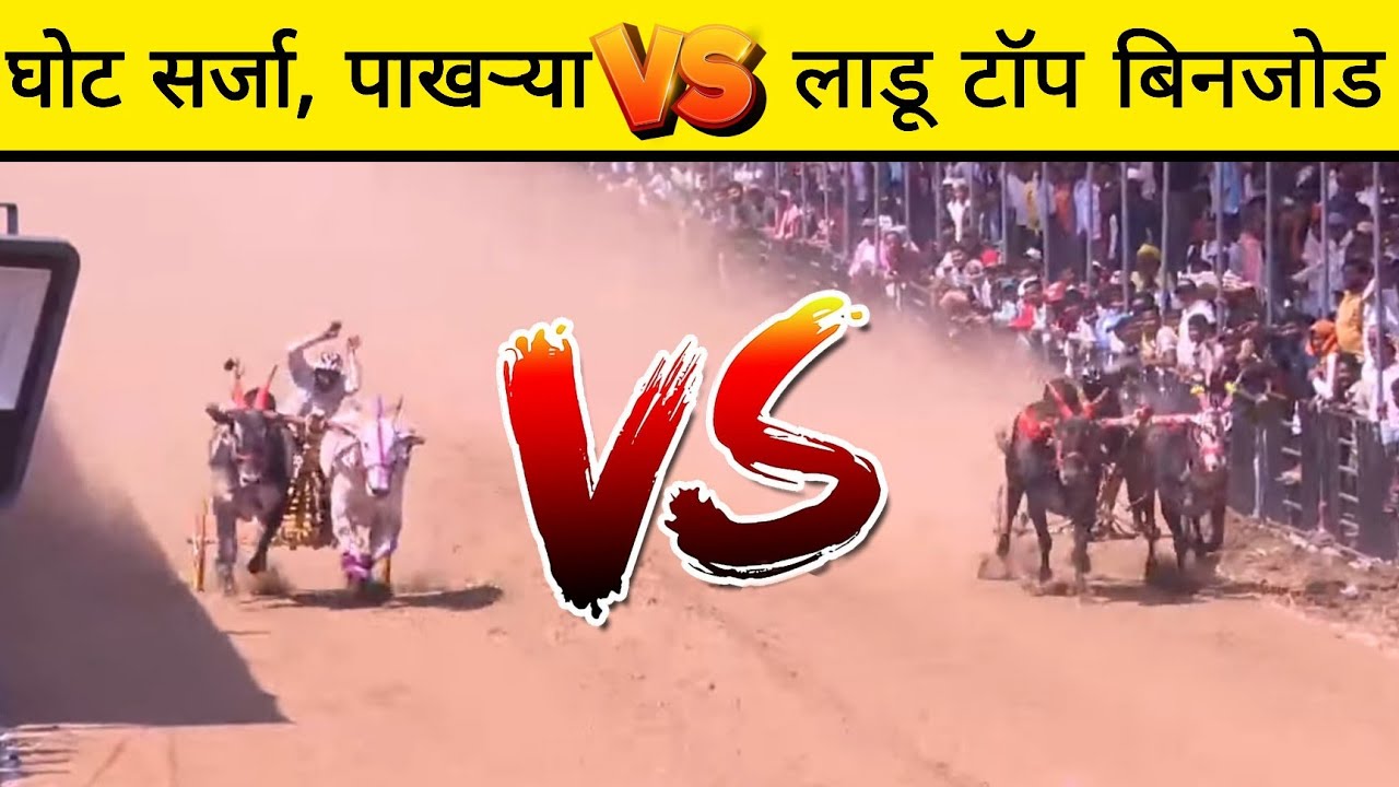 घोट करांचा सर्जा आणि पाखऱ्या VS लाडू टॉप बिनजोड कोणी विजय प्राप्त केला 😱