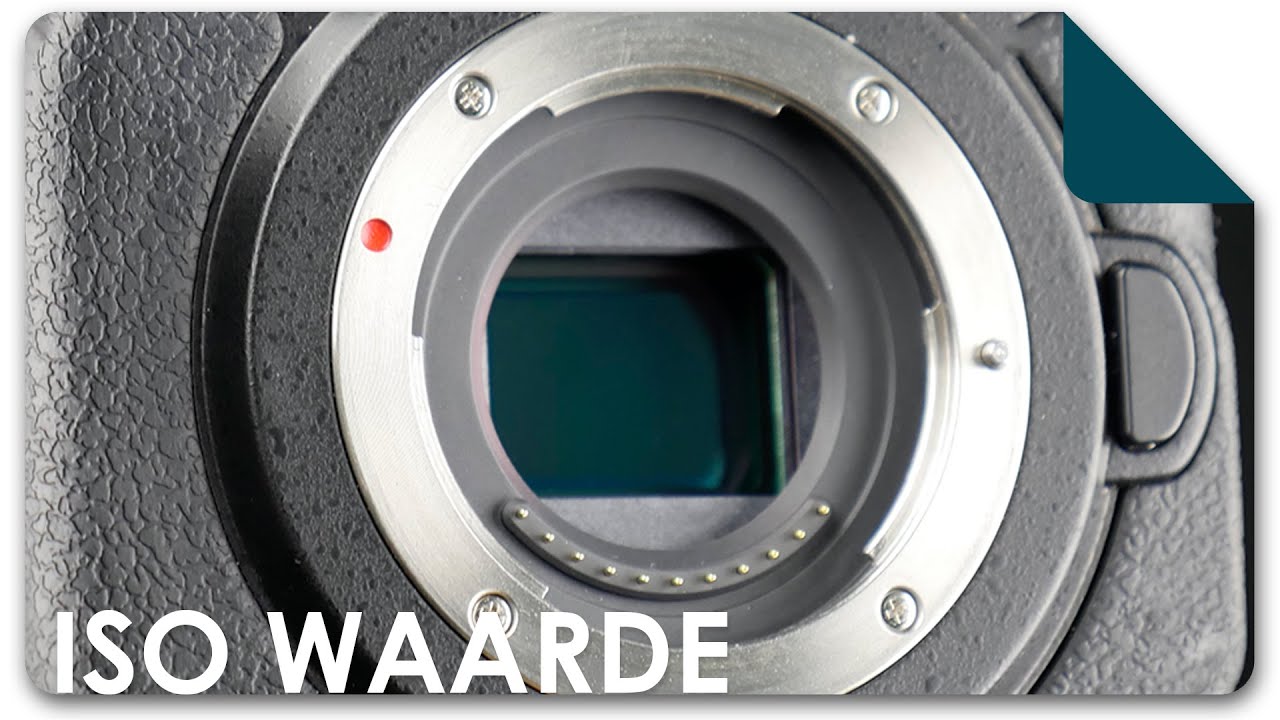 ISO waarde | Fotografie