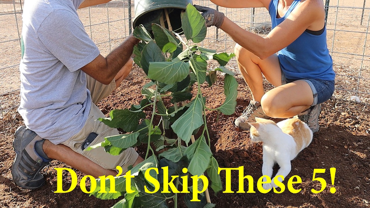 5 Crucial Tips for Planting Fruit Trees