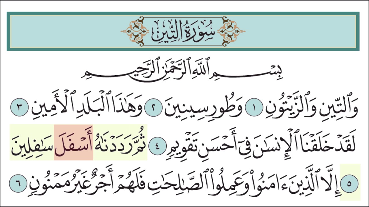 سورة التين للأطفال مع تتبع الكلمات || المصحف المعلم لخليفة الطنيجي Surah At-Tin