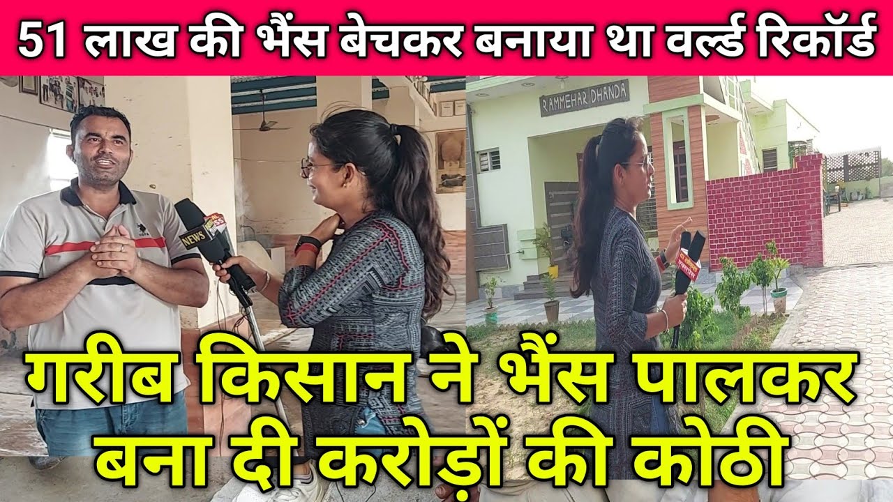 भैंस पालकर बना दी करोड़ों की कोठी, 51 लाख की भैंस बेची थी, गाँव लितानी @sukhbirdhandadairyfarm7651