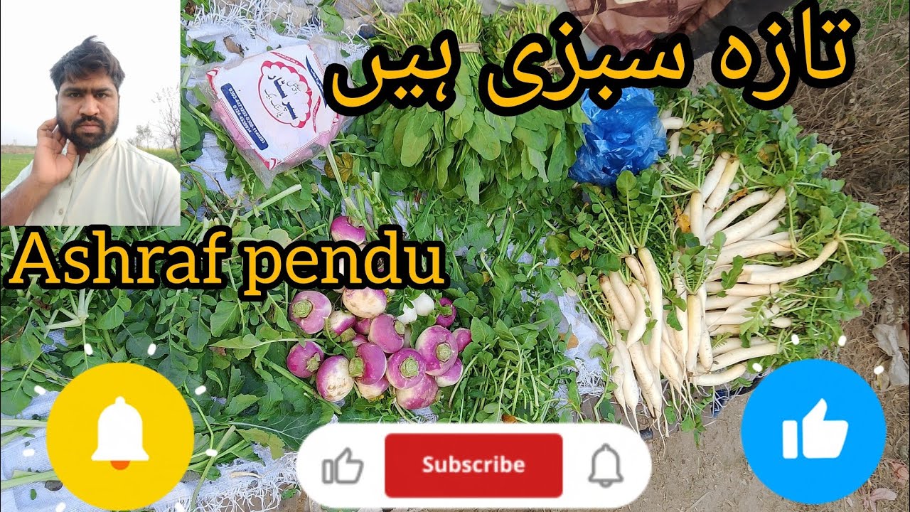 vegetable 🥕🥬🫜 gaon beautiful ❤️ تازہ سبزیاں ہیں Ashraf pendu 👈💯 