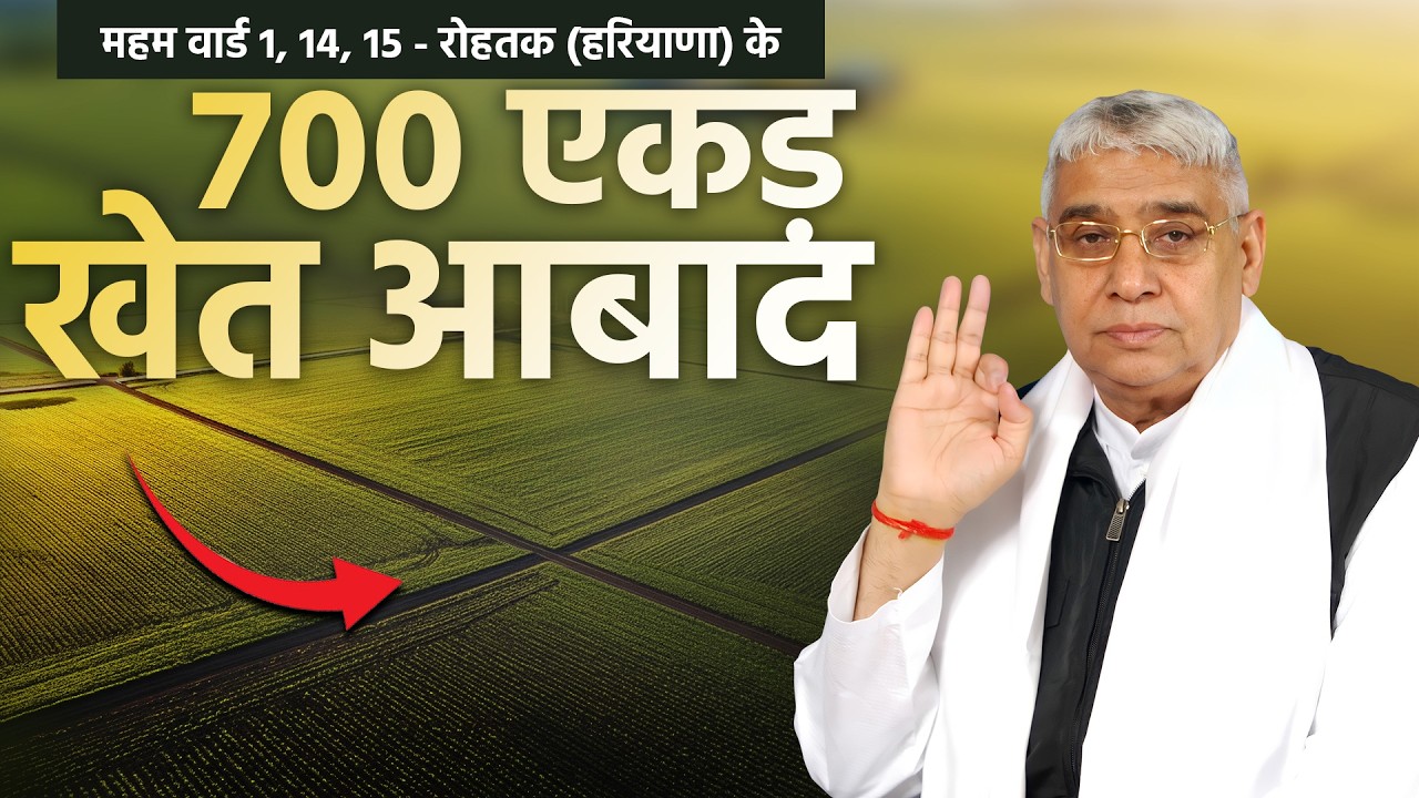 महम वार्ड 1, 14, 15, रोहतक (हरियाणा) के खेतों में 8 फुट पानी के बाद छाई हरियाली || SA News Channel