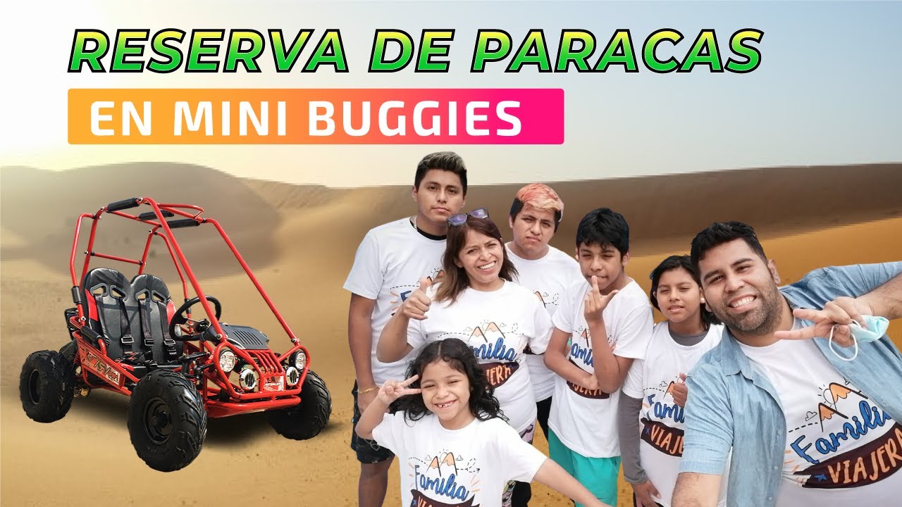 PARACAS: Tour a la Reserva en Minibuggies