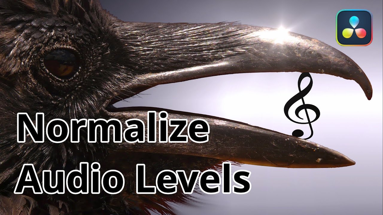 Audio normalisieren 🎼 Lautstärke angleichen für bessere Qualität - DaVinci Resolve 17 Tutorial