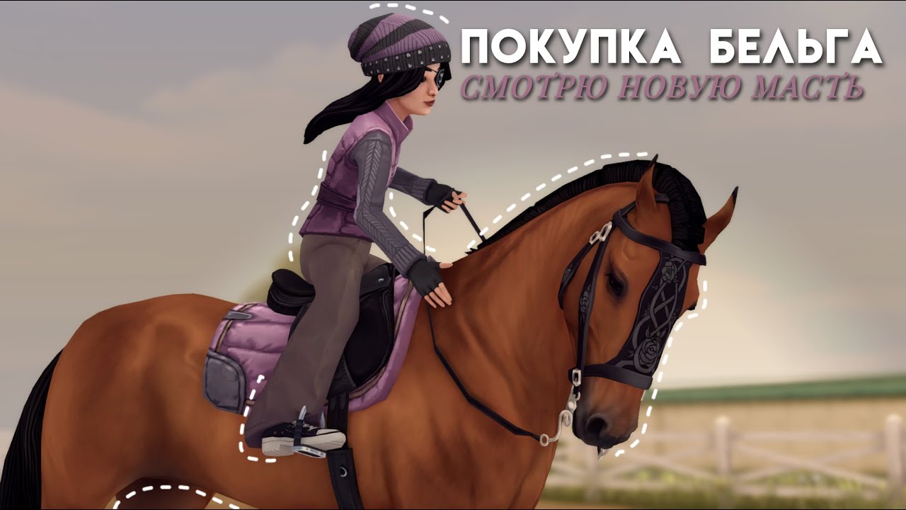 ПОКУПКА БЕЛЬГИЙЦА|||STAR STABLE ONLINE