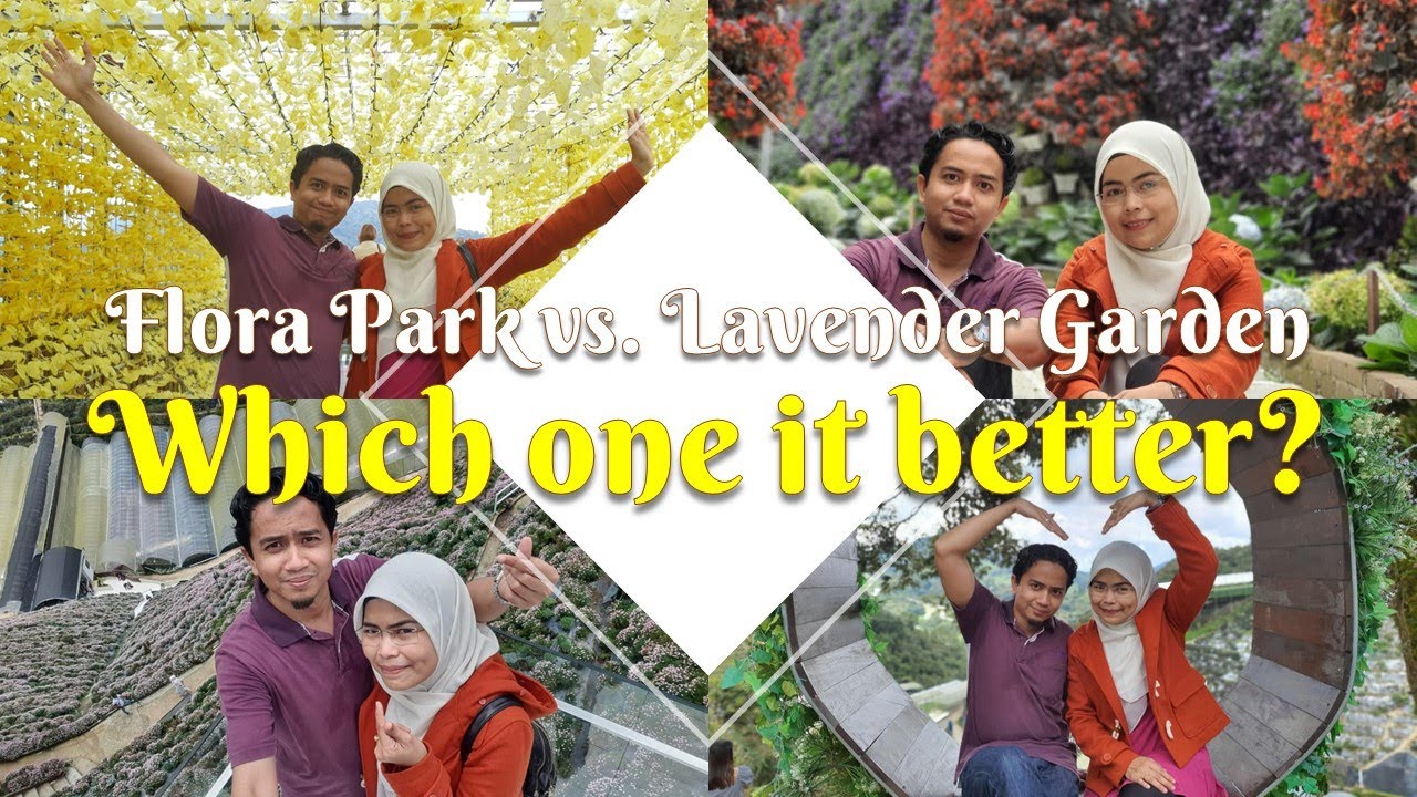 Best things to do at Cameron Highlands | Is it worth it to Enter Flora Park or Lavender Garden?