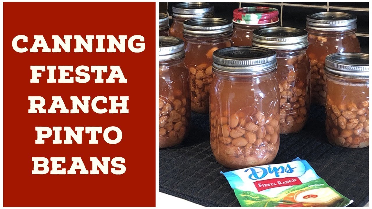 Canning Fiesta Ranch Pinto Beans ~ No Soak Method ~ VR to Suttons Daze