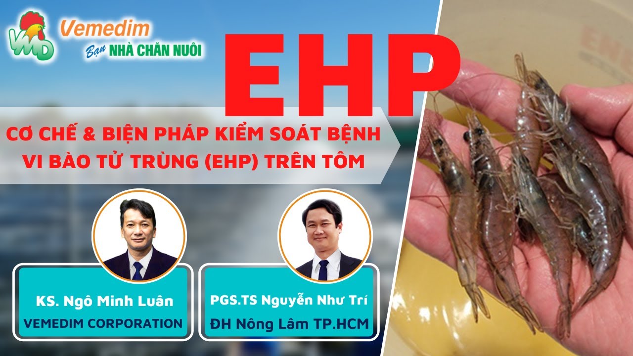 EHP - NGUYÊN NHÂN & BIỆN PHÁP PHÒNG TRỊ | PGS. Nguyễn Như Trí & KS. Ngô Minh Luân| Vemedim
