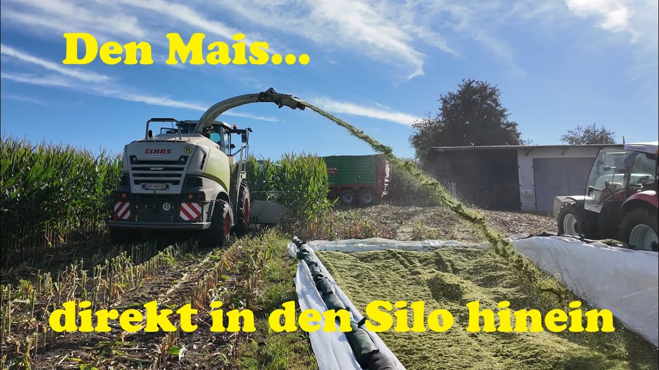 Maishäckseln 2025 in Wernstein am Inn