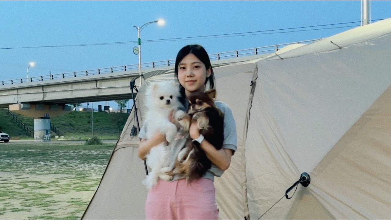 Самостоятельная установка палатки BANTAGON MAX ⛺ Кемпинг с собаками | Закат, куриные шашлыки и пиво