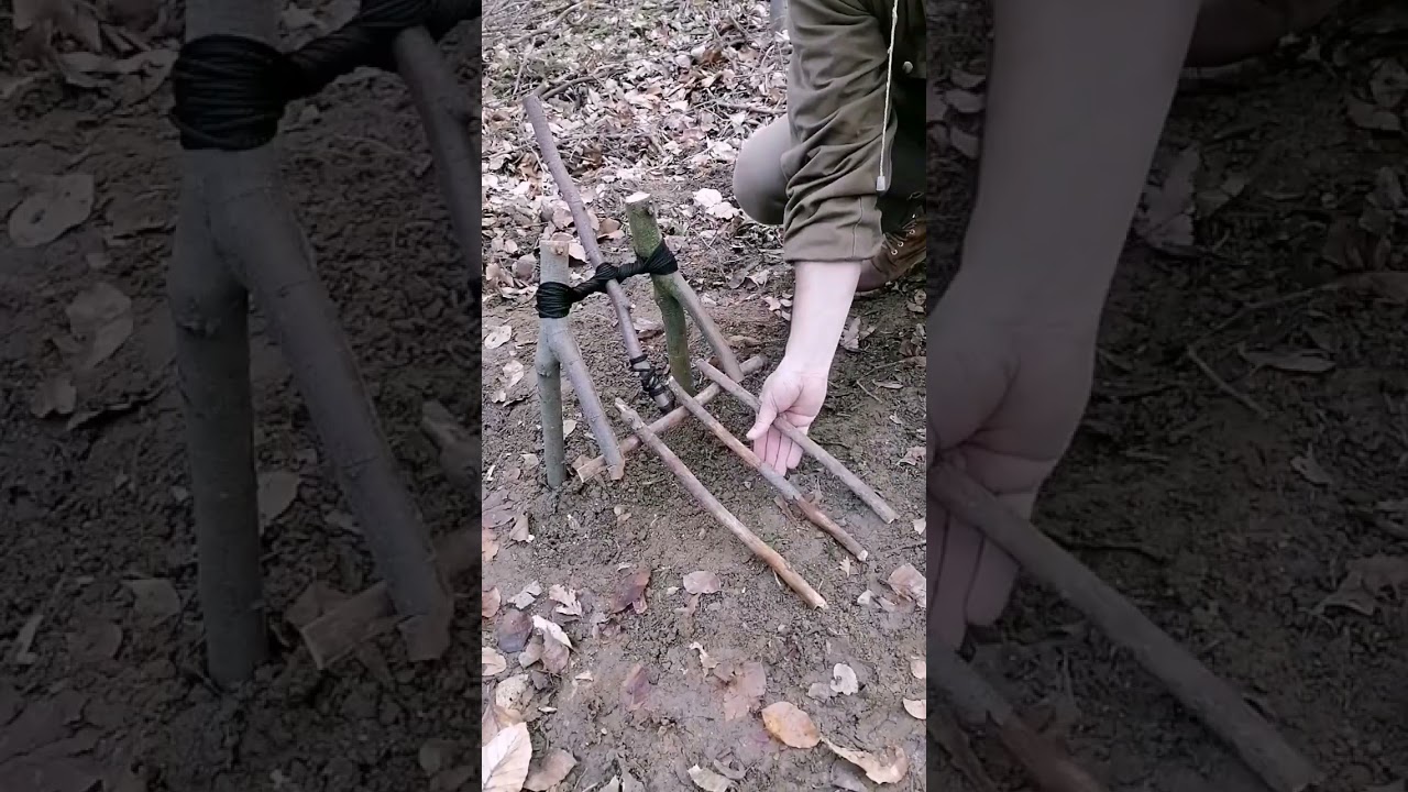 trap #bushcraft #trap #survival