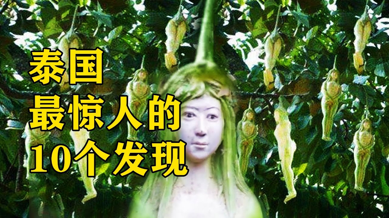 泰國最驚人的10個發現，女人樹原來真的存在，還能結出女人果實