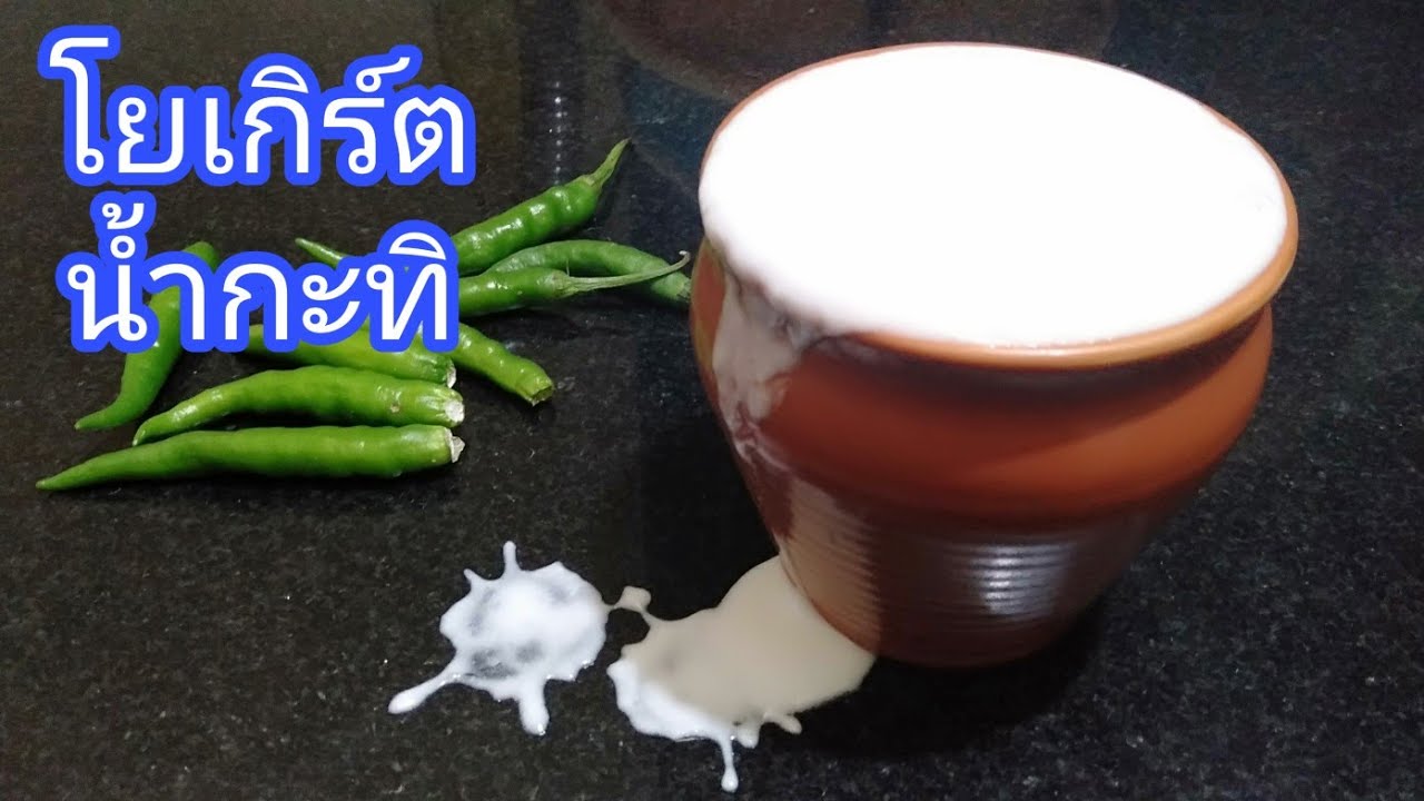 Coconut milk Yogurt from fresh coconut | 100%วีแกนโยเกิร์ต