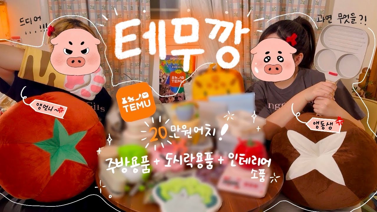 도시락 용품에 진심인 자매의 테무깡💥 ┃주방용품, 도시락 용품 20만원 어치 하울💸