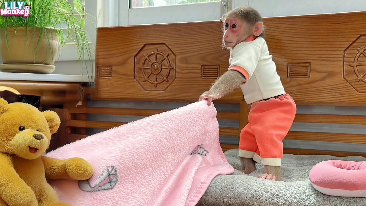 When monkey Lily doesn't want to bother dad work