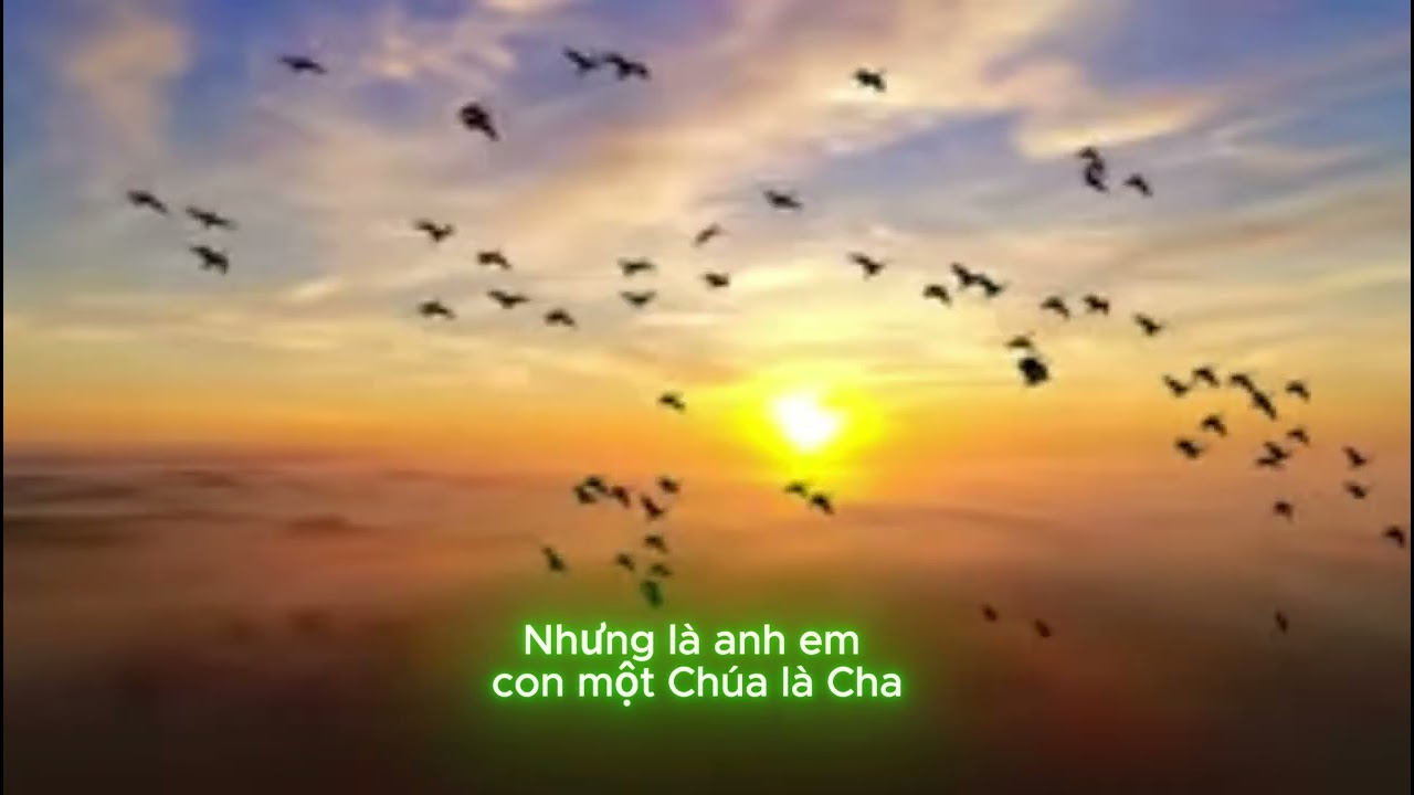 NƠI Đ&Acirc;Y ANH EM KH&Ocirc;NG L&Agrave; NGƯỜI XA LẠ