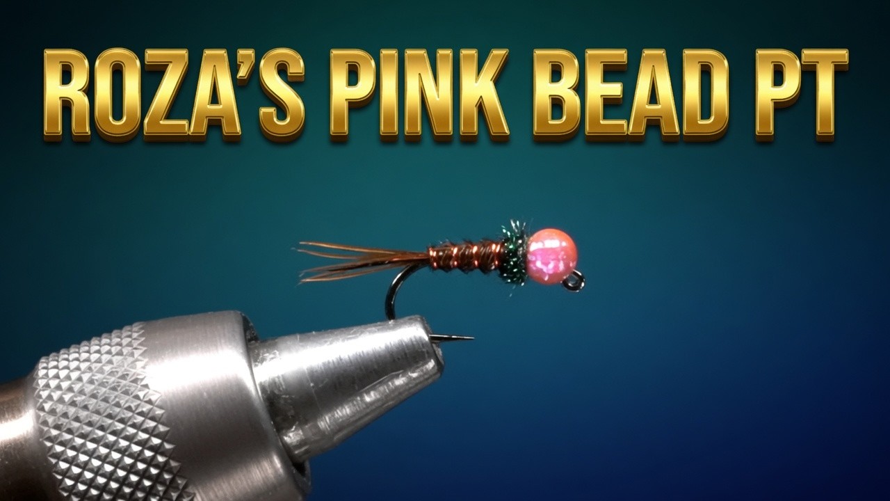 Pink Bead Pheasant Tail Fly Tying - Roza's World Champ Pattern