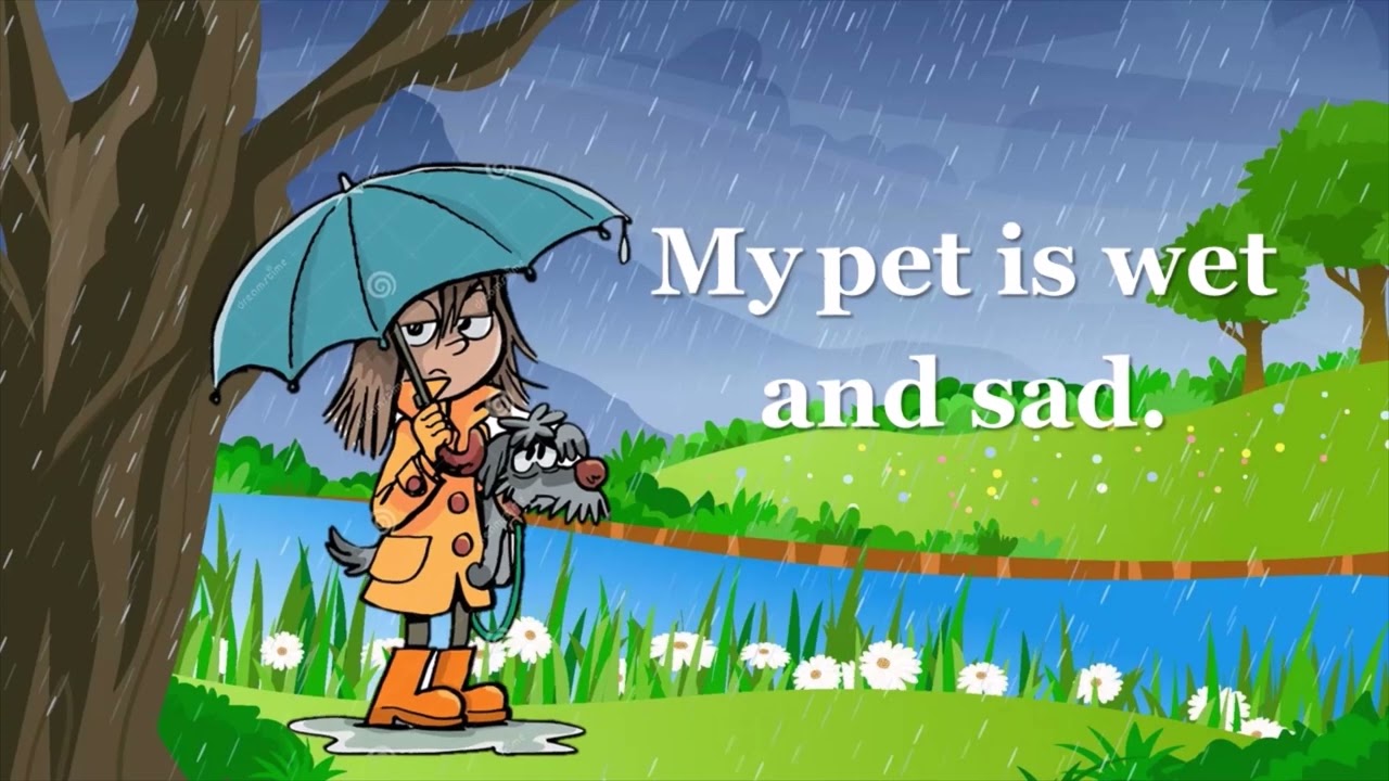 My wet pet