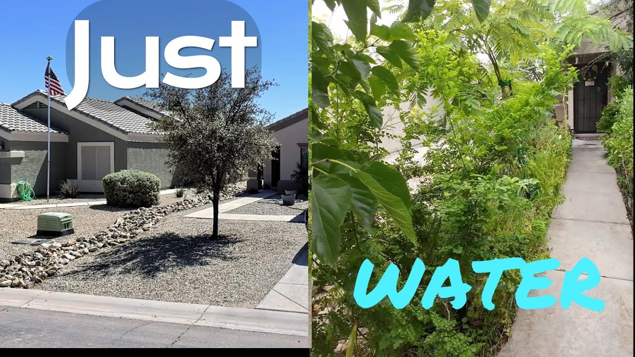 He uses Mental Energy and Water to grow trees