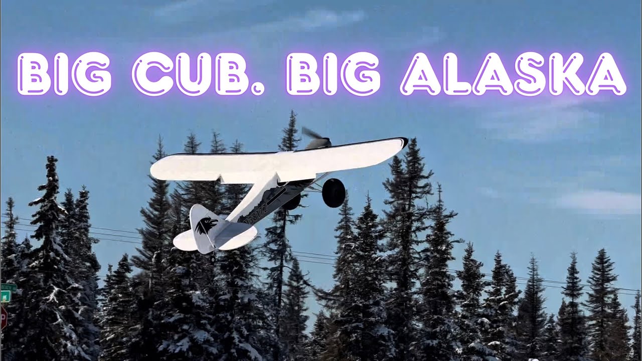 How the Cub Was Meant to Fly | Alaska Edition 😏 #rcplane #aviation #alaskarc 
