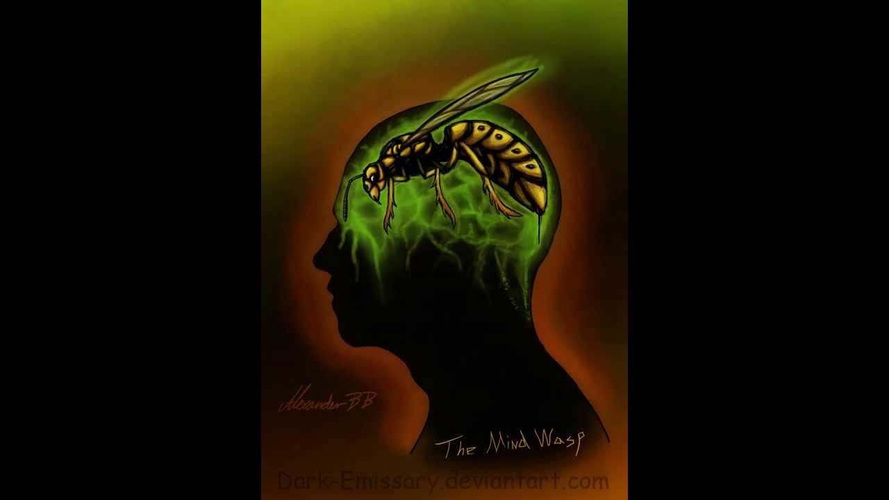 The Mind Wasp - The Devin Townsend Project (Lyrics and animation)