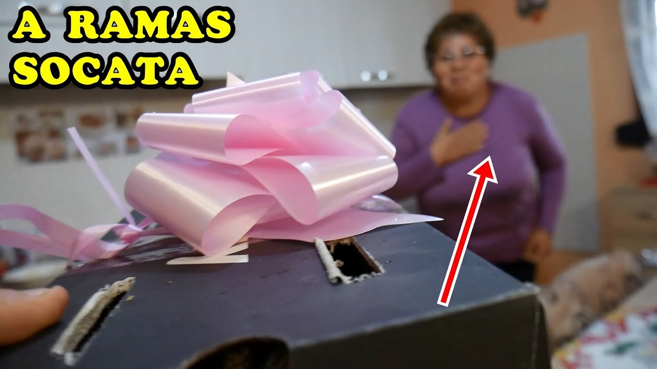 CADOU SURPRIZĂ mamei SOACRE + NOUL nostru MEMBRU al familie