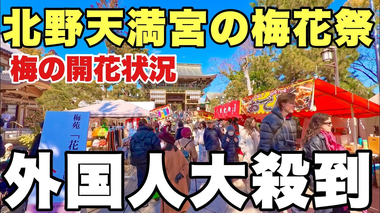 【4K】2025年2月25日（火）京都北野天満宮の梅花祭に外国人大殺到！梅の開花状況。京都北野天滿宮梅花節吸引大批外國人！Kyoto Kitano Tenmangu Plum Festival.