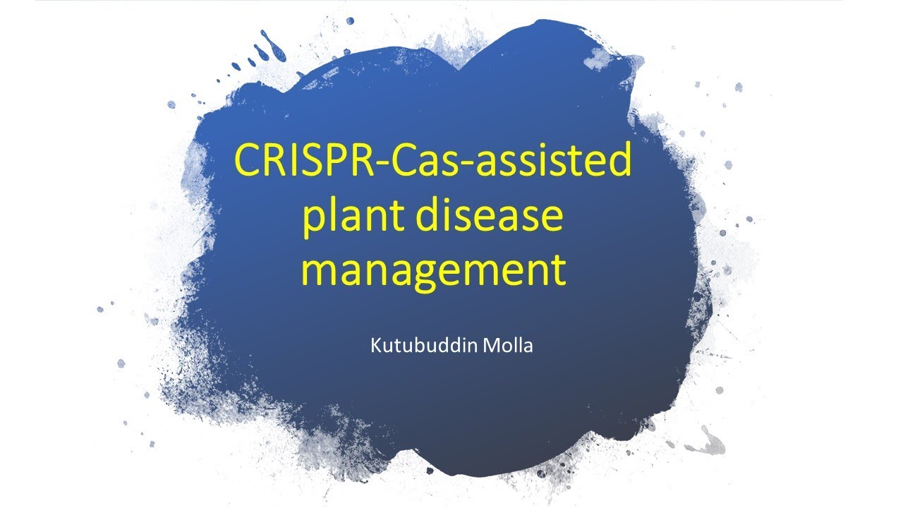 CRISPR-Cas-assisted plant disease management