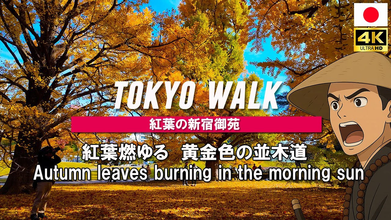 Shinjuku Gyoen Garden Walk with Peak Autumn Foliage, Tokyo｜Japan Walk / 4K UHD