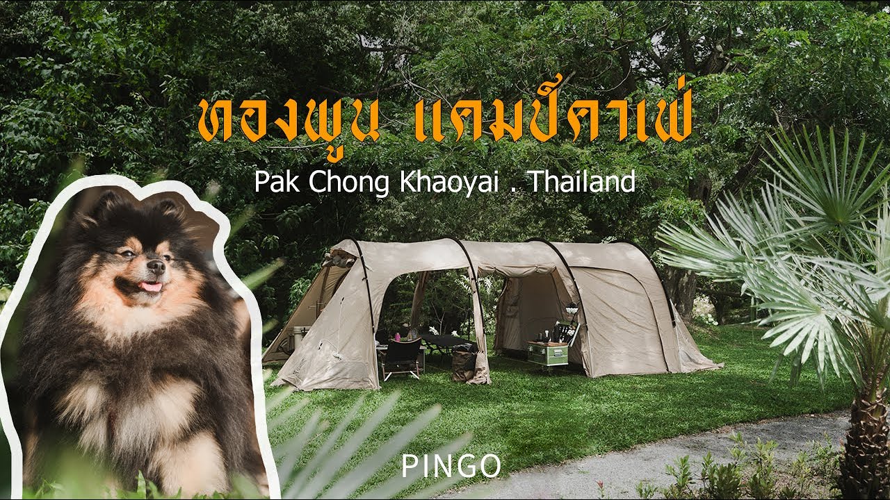 ทองพูนแคมป์ คาเฟ่ ปากช่อง เขาใหญ่ ลานสวย หญ้านุ่มติดริมน้ำ l Camping 05