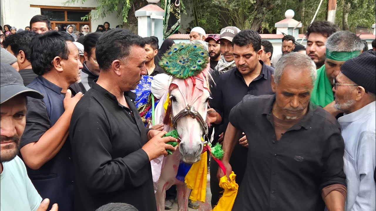 Asad Ashura at Thiksey Rambirpur 2025