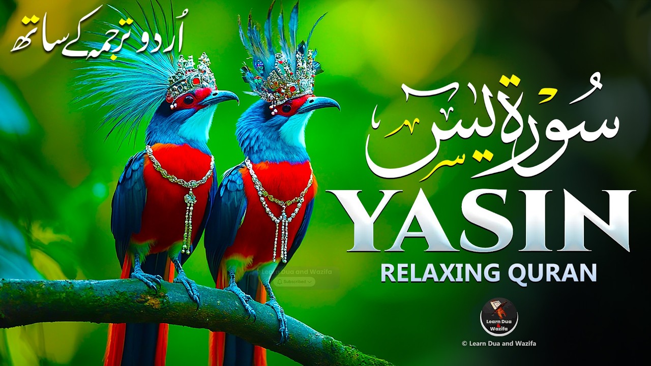 Surah Yasin (Yaseen) for Healing | Relieve Stress, Depression & Anxiety | سورة يس | #surahyaseen