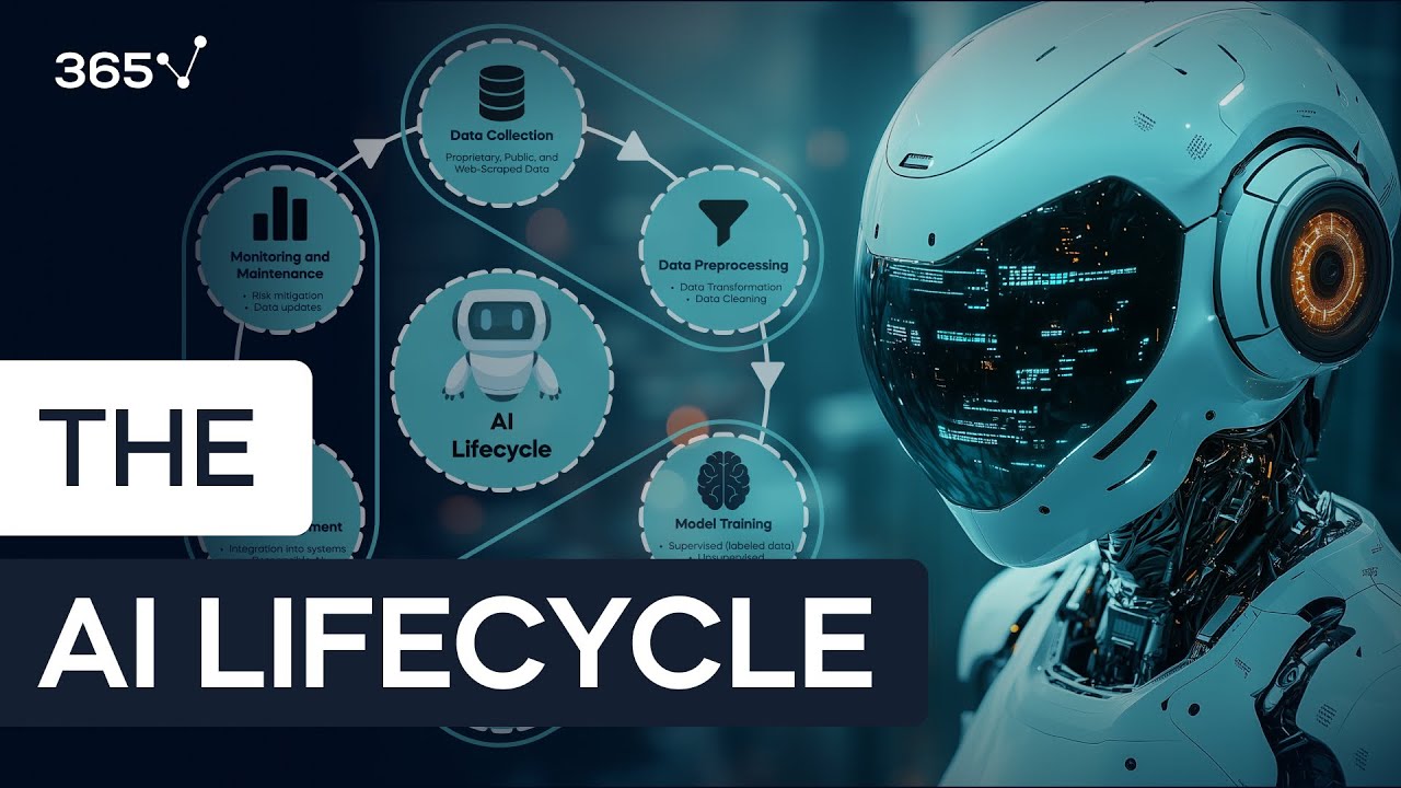 The AI Lifecycle: From Data Collection to Model Application
