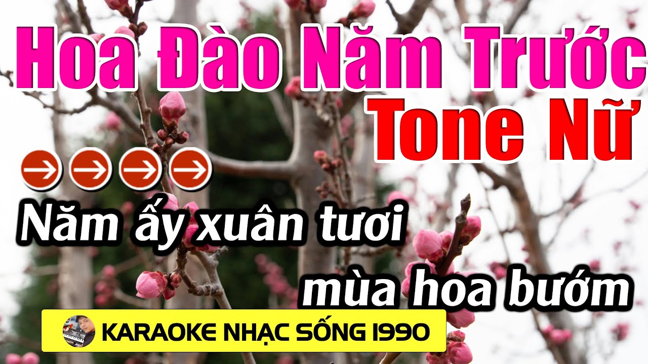 Hoa Đào Năm Trước - Karaoke Tone Nữ - Karaoke Nhạc Sống 1990 - Beat Mới