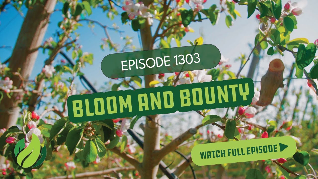 Bloom & Bounty I Season 13 Episode 3 I Washington Grown
