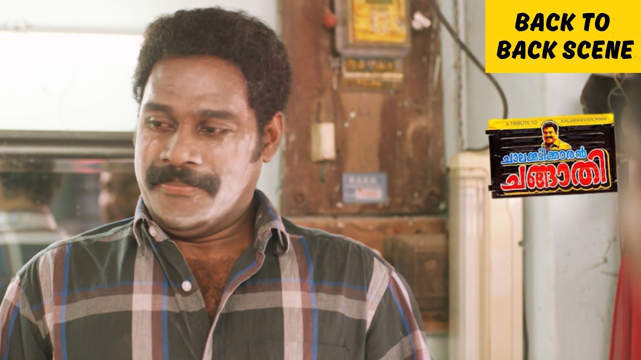 Chalakkudikkaran Changathi | Back To Back Scene | Senthil Krishna | SalimKumar | Malayalam Movie