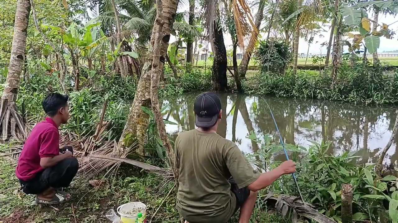 Bagaimana ini mancing seperti ini